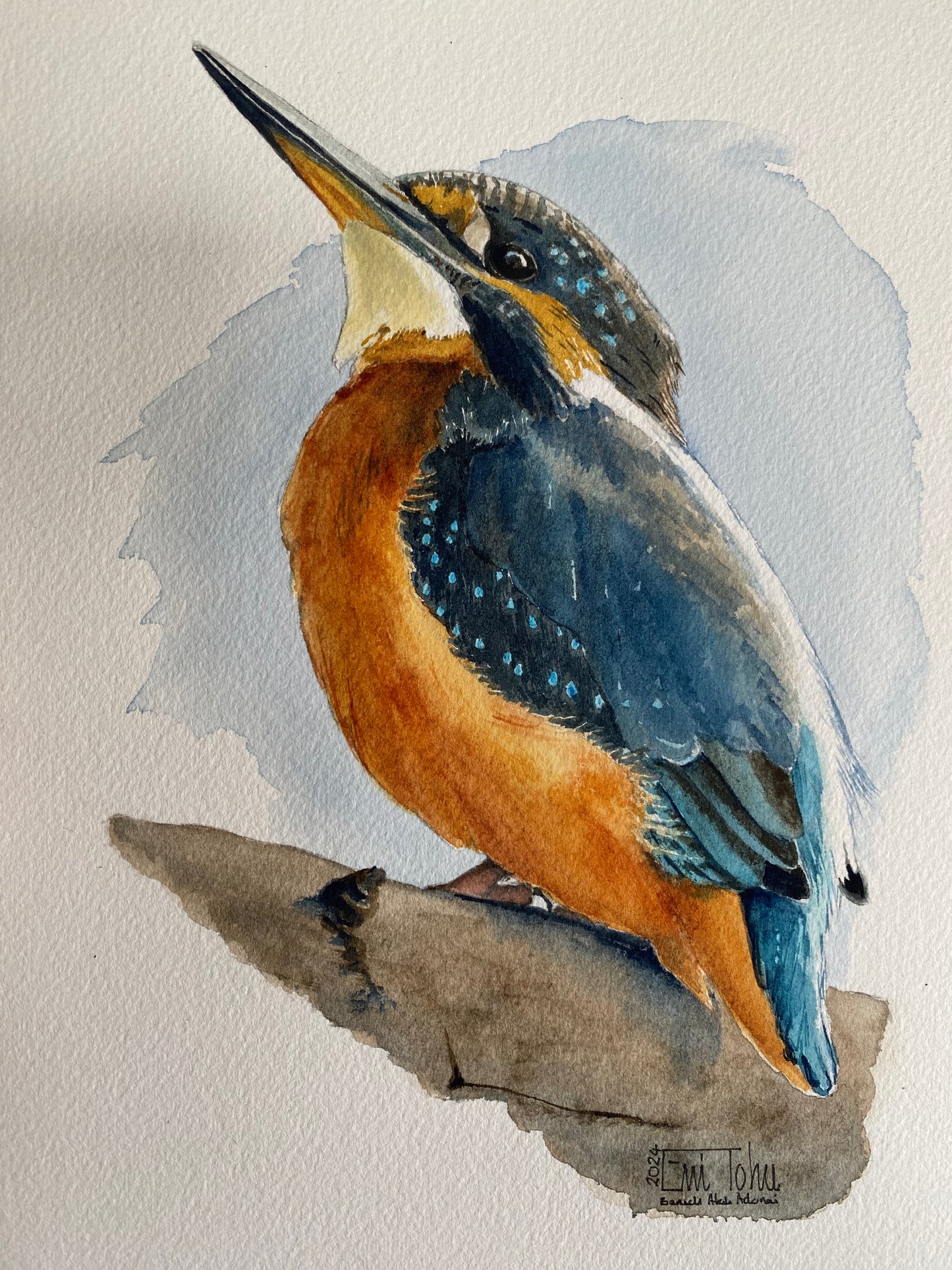 Kingfisher
