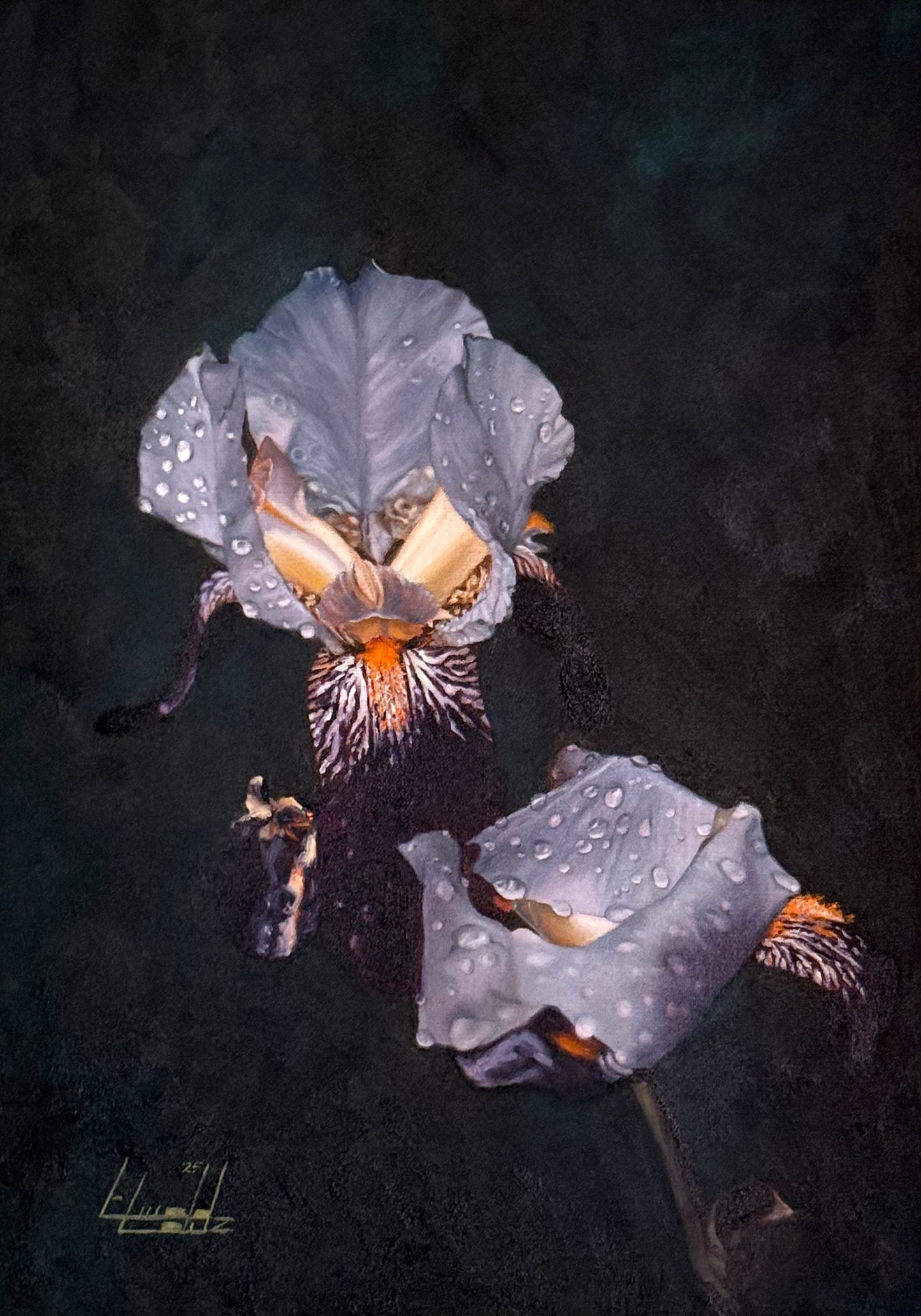 After the Rain