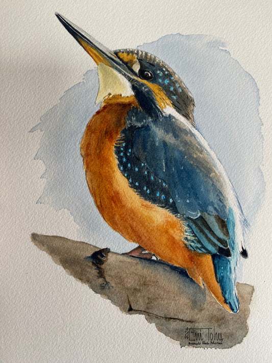 Kingfisher