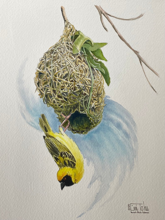 Weaver