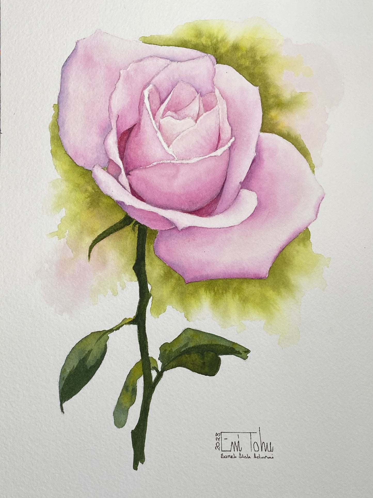 Pink Rose