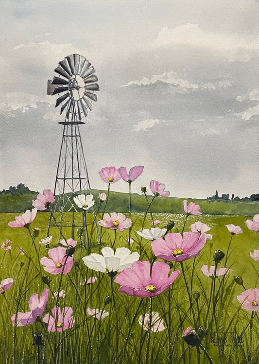Cosmos