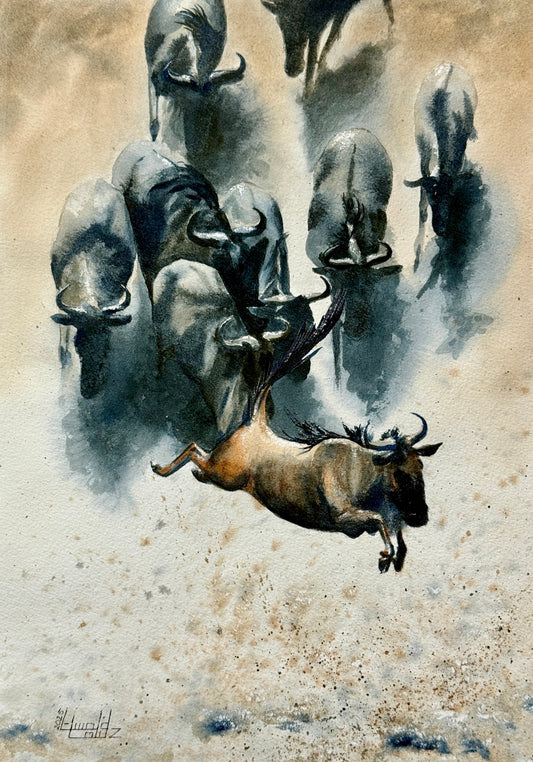 Leap of Faith