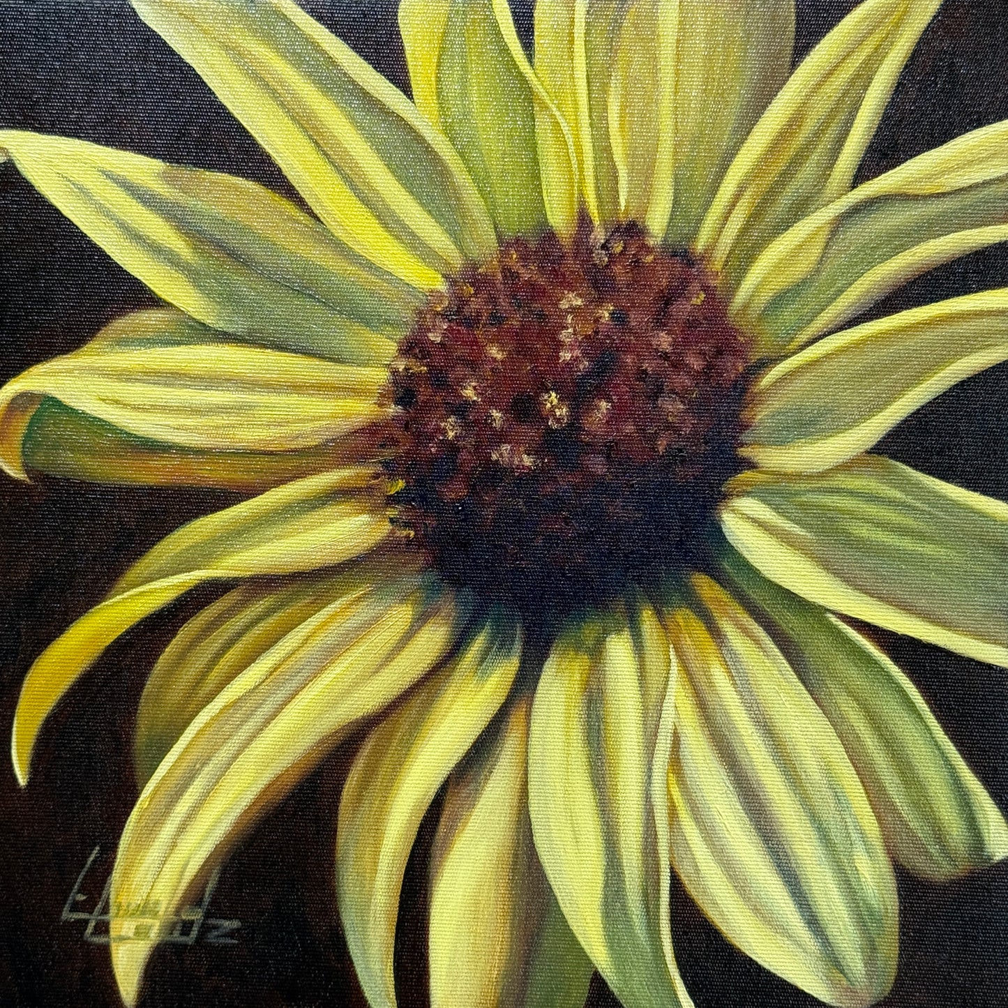 Wild Sunflower